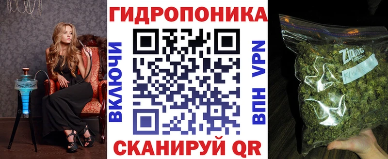 APVP Кинель