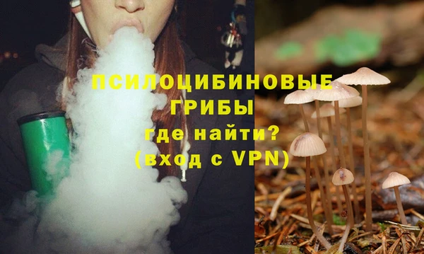 МДПВ Алексеевка