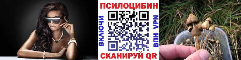 Галлюциногенные грибы Magic Shrooms  продажа наркотиков  мориарти телеграм  Кинель 