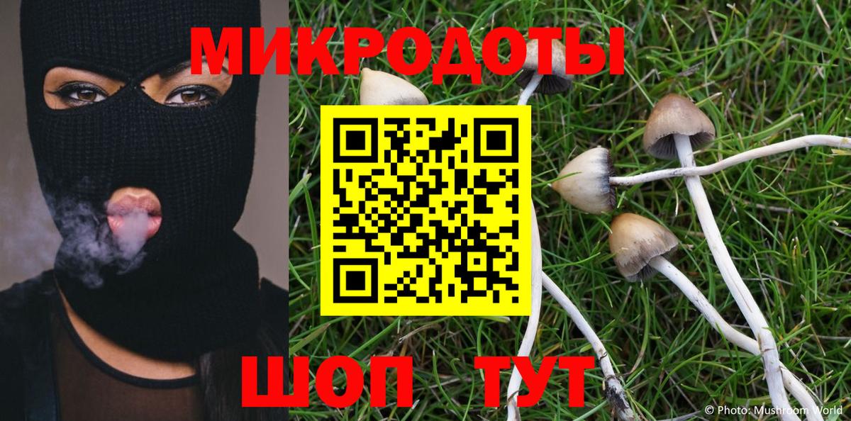 Галлюциногенные грибы GOLDEN TEACHER Кинель